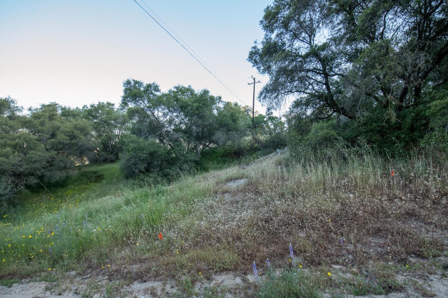 Detail Gallery Image 5 of 19 For 13804205 Pennyroyal Ln, Prather,  CA 93651 - – Beds | – Baths