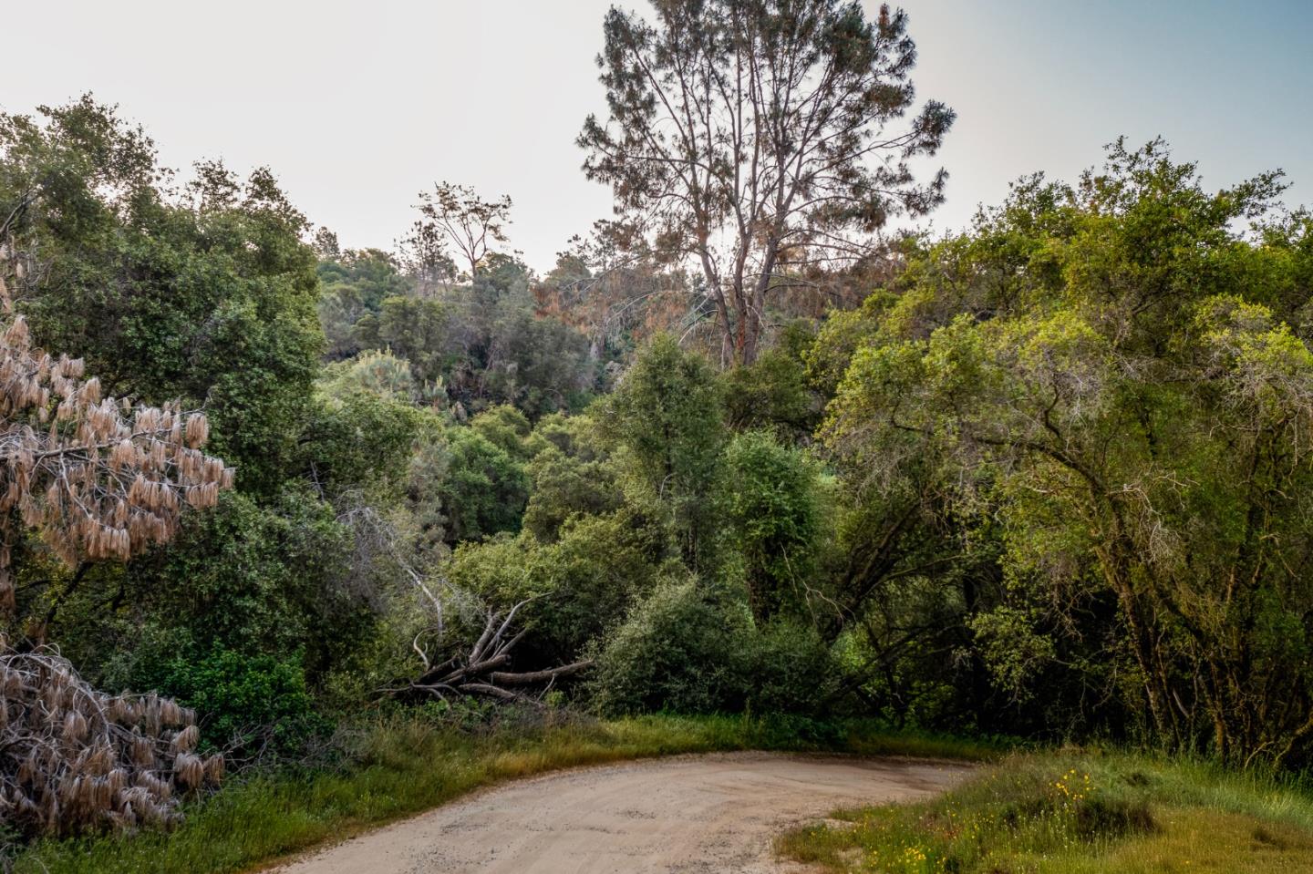 Detail Gallery Image 9 of 19 For 13804205 Pennyroyal Ln, Prather,  CA 93651 - – Beds | – Baths