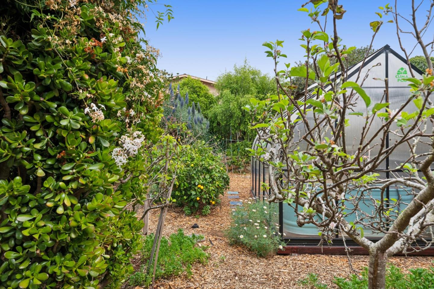 Detail Gallery Image 38 of 50 For 1976 Luzern St, Seaside,  CA 93955 - 3 Beds | 2 Baths