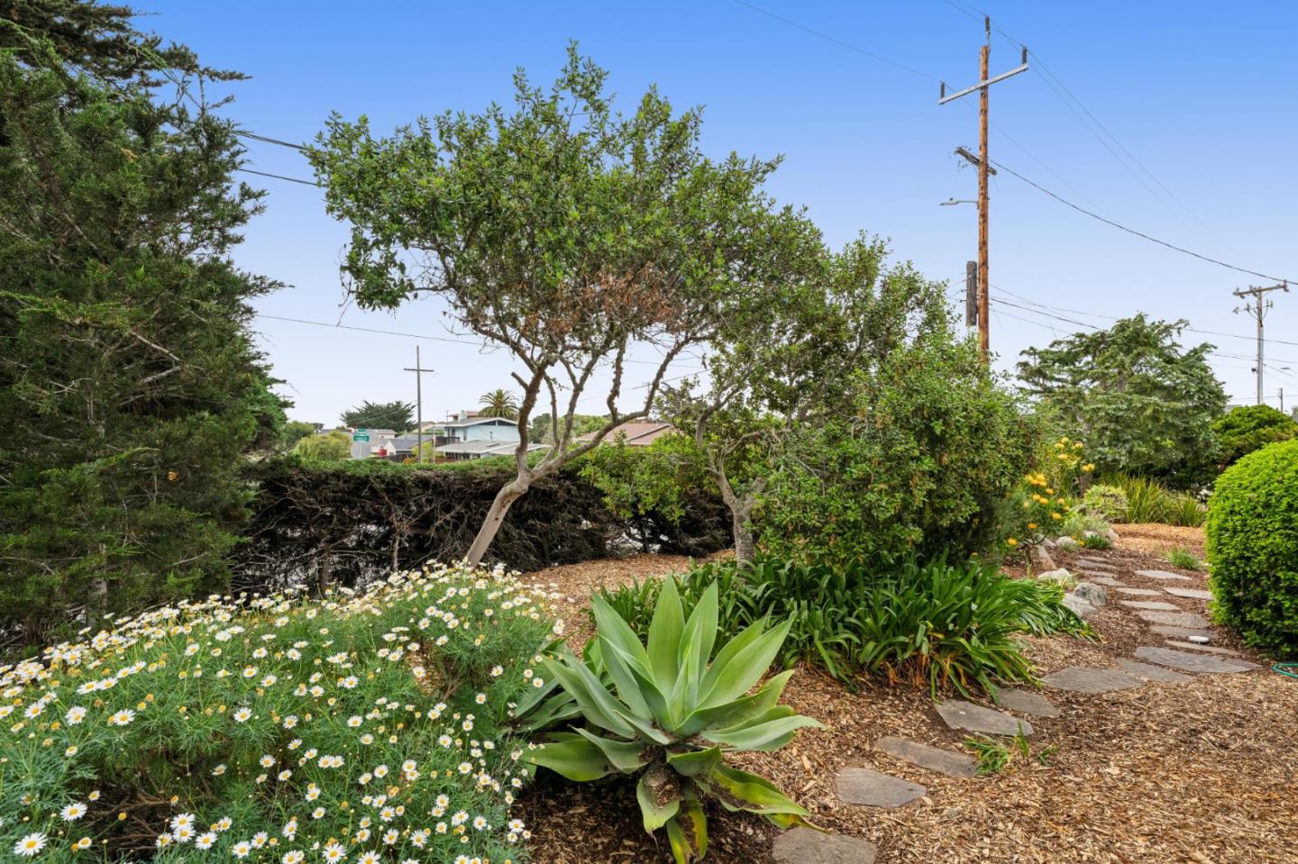 Detail Gallery Image 4 of 50 For 1976 Luzern St, Seaside,  CA 93955 - 3 Beds | 2 Baths