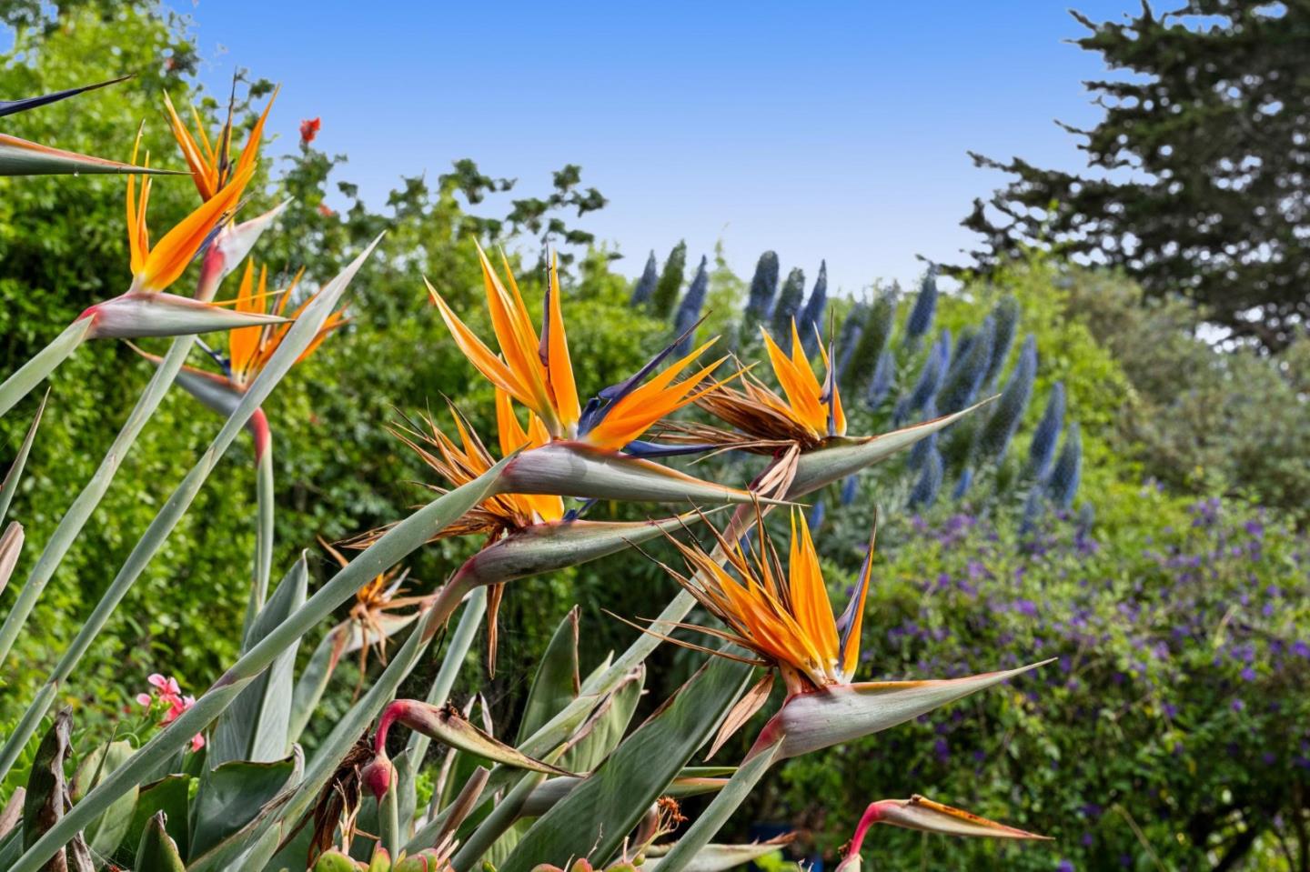 Detail Gallery Image 42 of 50 For 1976 Luzern St, Seaside,  CA 93955 - 3 Beds | 2 Baths