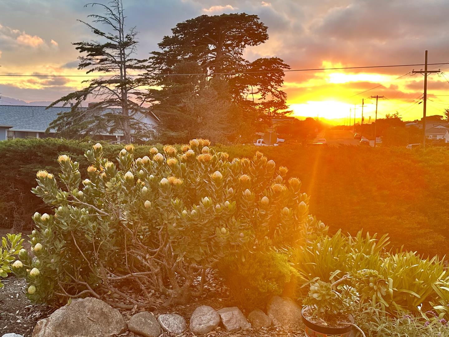 Detail Gallery Image 49 of 50 For 1976 Luzern St, Seaside,  CA 93955 - 3 Beds | 2 Baths