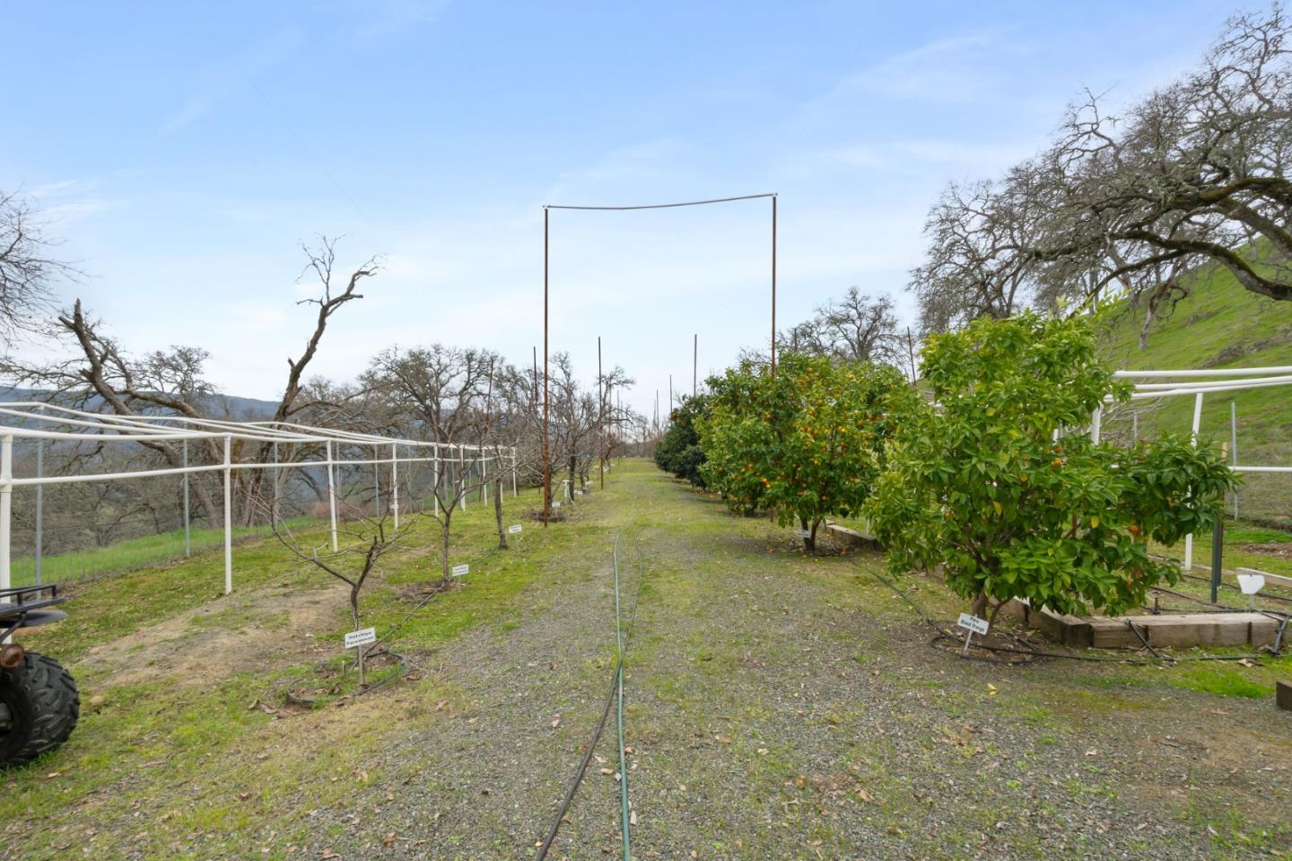 Detail Gallery Image 66 of 91 For 1525 Headlands Dr, Napa,  CA 94558 - 4 Beds | 3/1 Baths