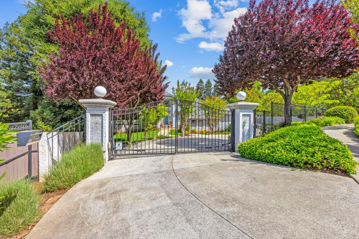 Detail Gallery Image 4 of 76 For 18216 Sparhawk Way, Morgan Hill,  CA 95037 - 5 Beds | 3/1 Baths