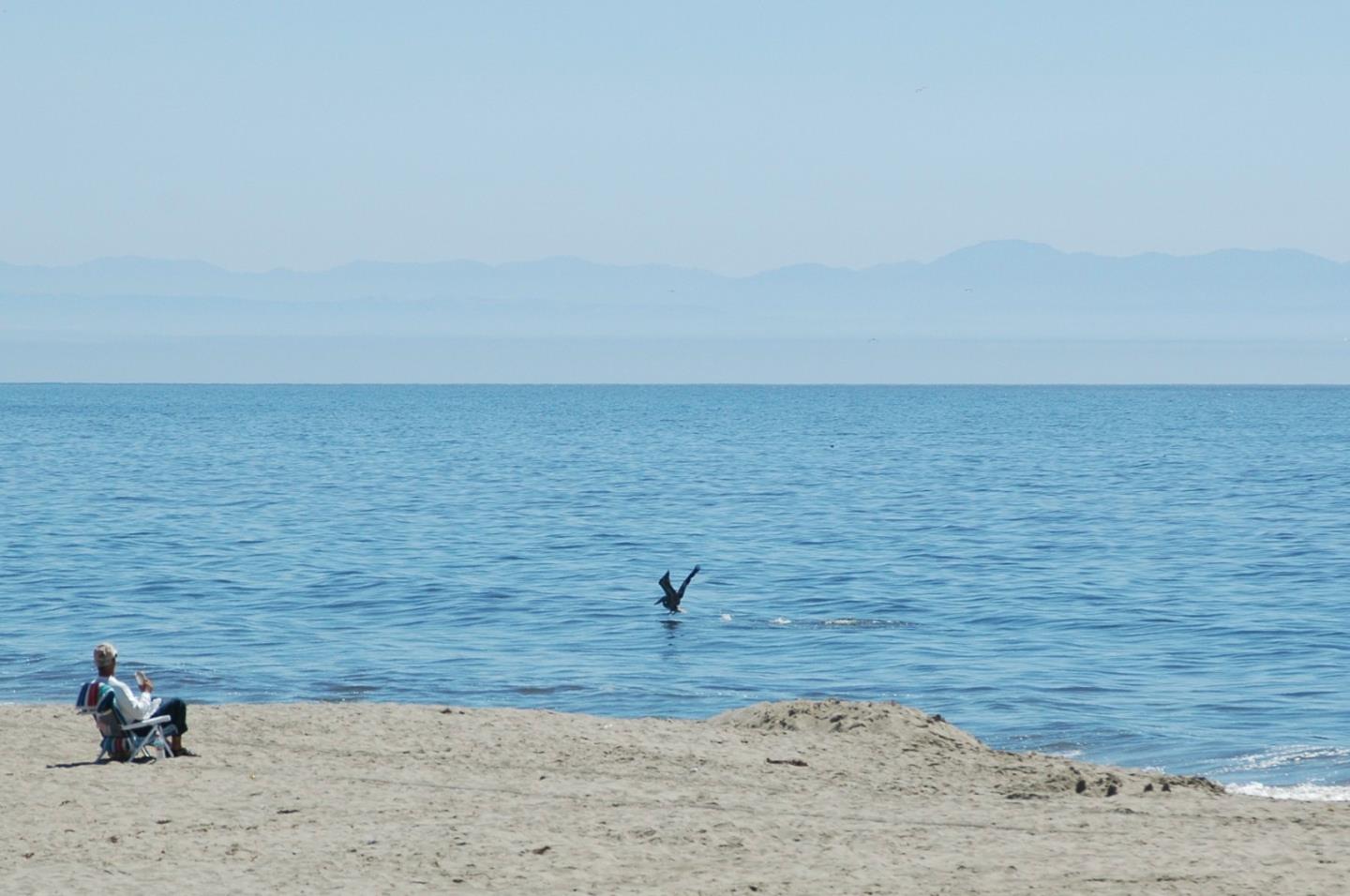 Detail Gallery Image 37 of 37 For 145 Bennett Rd, Aptos,  CA 95003 - 2 Beds | 1/1 Baths