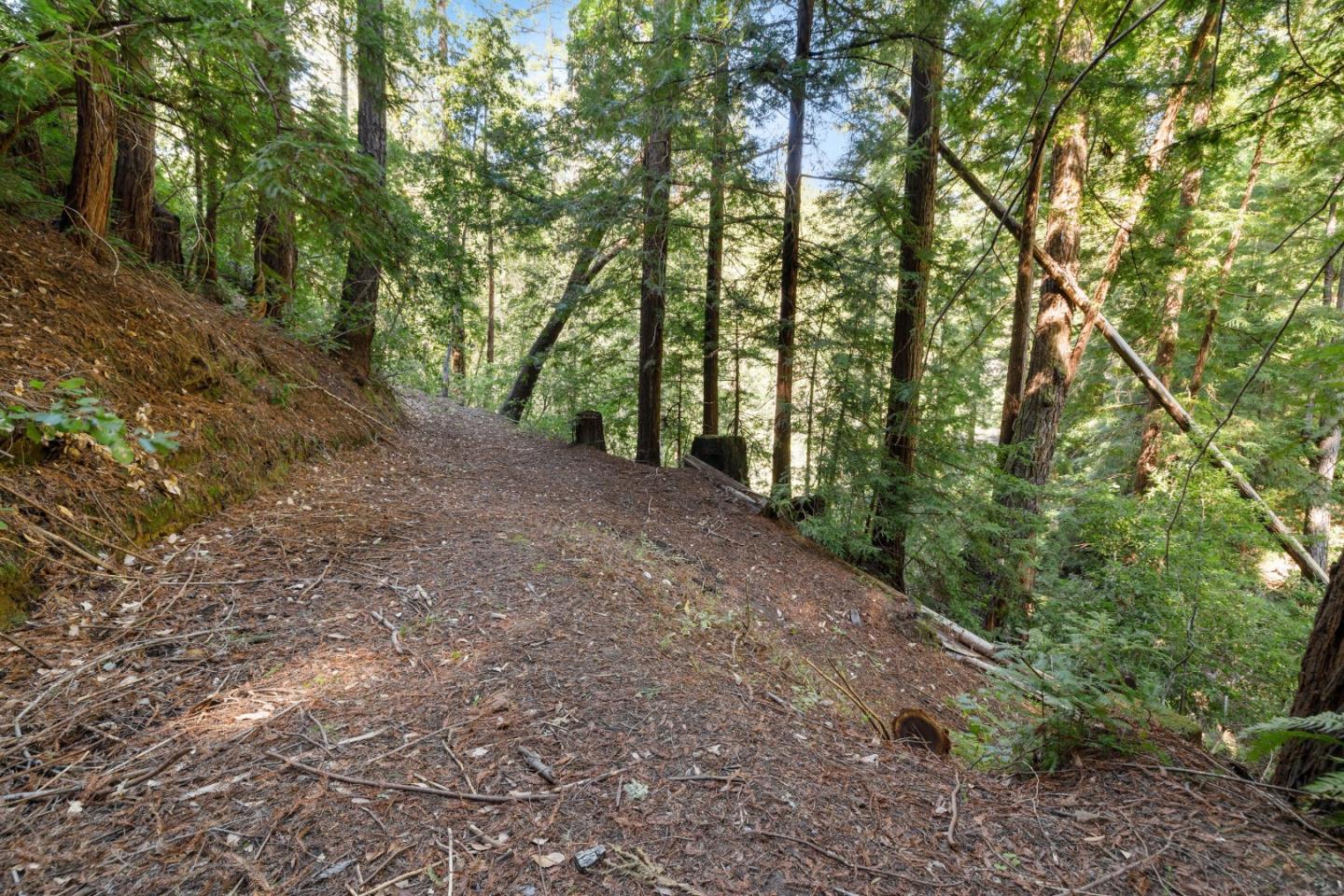 Detail Gallery Image 53 of 96 For 2950 Bear Canyon Rd, Los Gatos,  CA 95033 - 3 Beds | 2 Baths