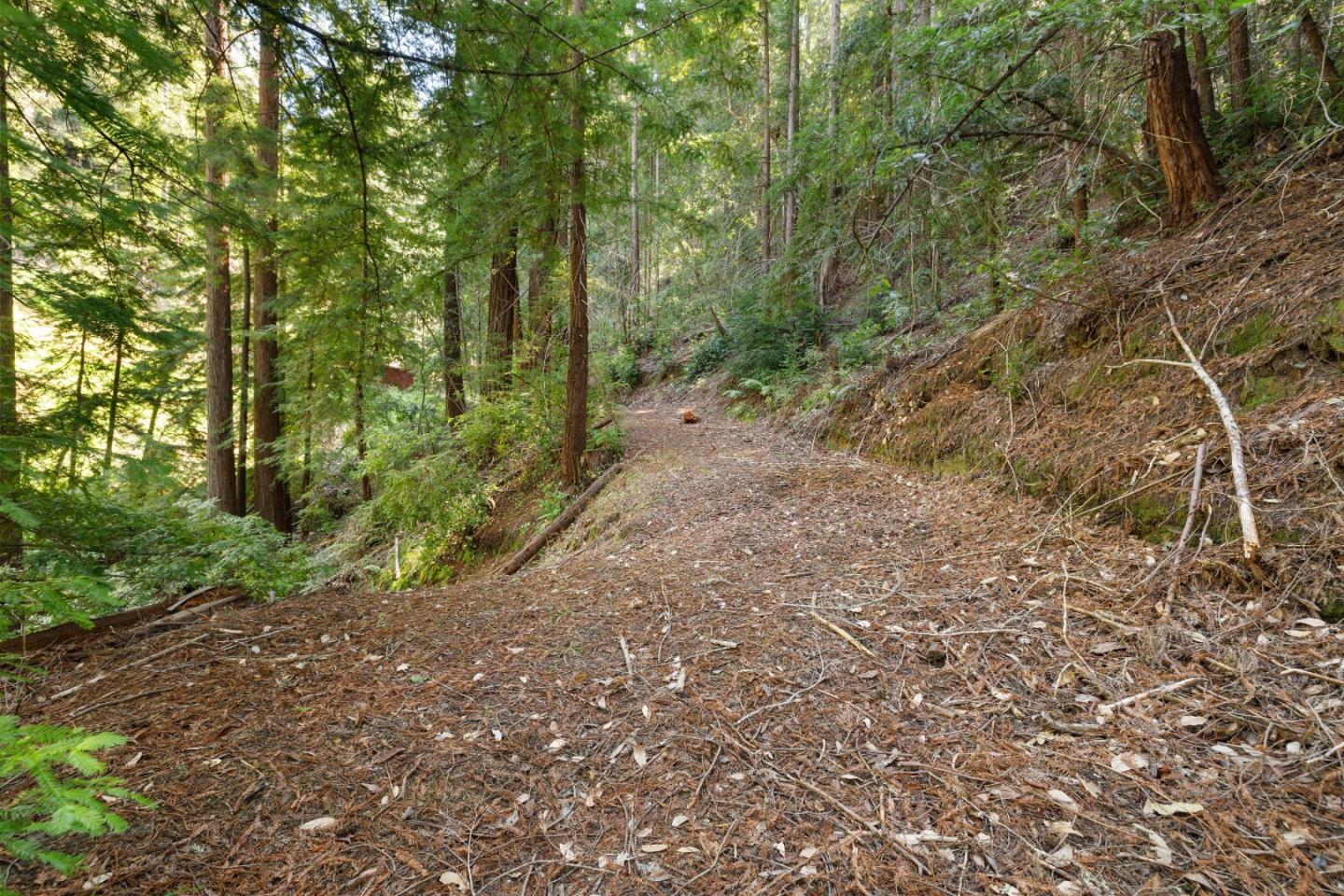 Detail Gallery Image 54 of 96 For 2950 Bear Canyon Rd, Los Gatos,  CA 95033 - 3 Beds | 2 Baths