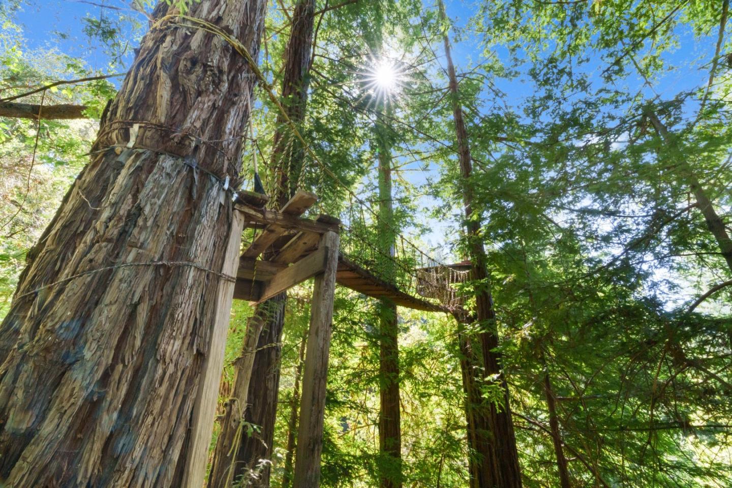 Detail Gallery Image 74 of 96 For 2950 Bear Canyon Rd, Los Gatos,  CA 95033 - 3 Beds | 2 Baths