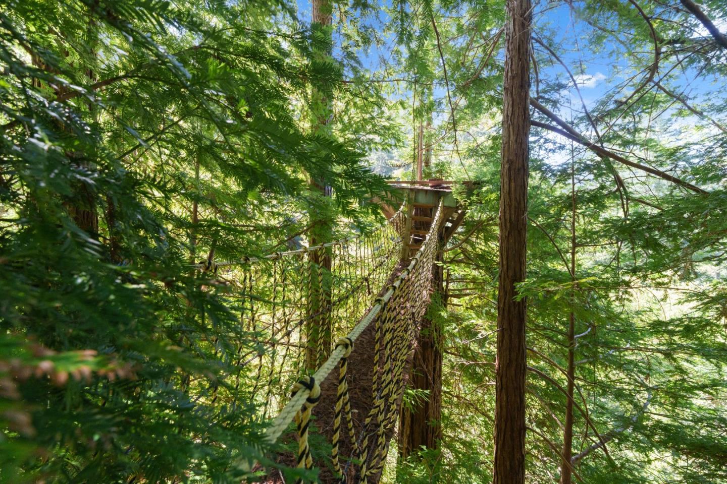 Detail Gallery Image 75 of 96 For 2950 Bear Canyon Rd, Los Gatos,  CA 95033 - 3 Beds | 2 Baths