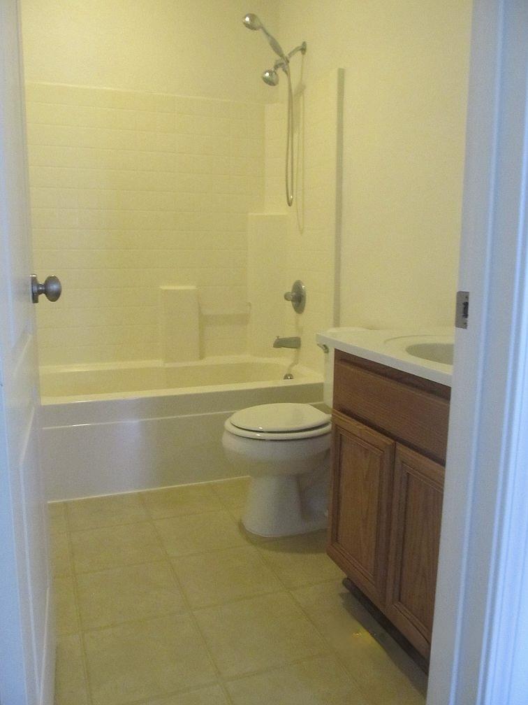 Detail Gallery Image 13 of 13 For 233 American Farms Ave, Lathrop,  CA 95330 - 4 Beds | 3 Baths