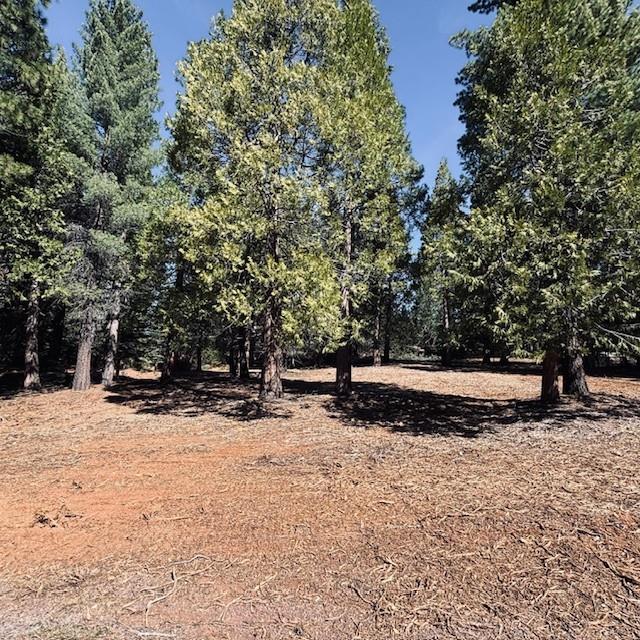 Detail Gallery Image 2 of 2 For 806 Red River Dr, Lake Almanor,  CA 96137 - – Beds | – Baths