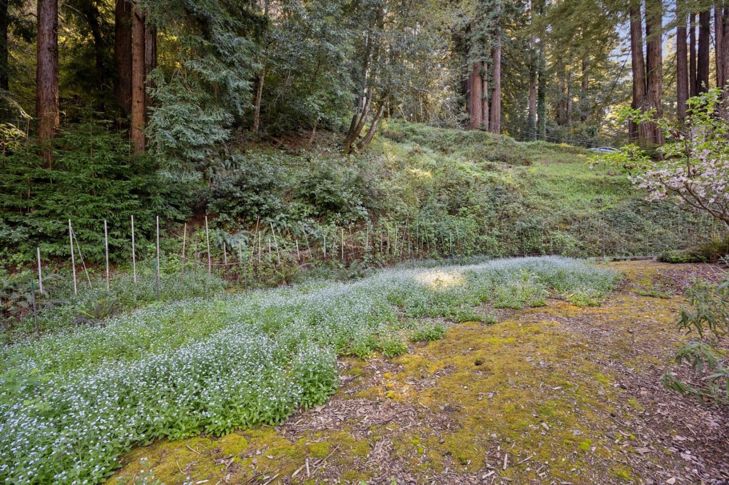 Detail Gallery Image 24 of 33 For 188 Martinez Rd, Woodside,  CA 94062 - 3 Beds | 2 Baths