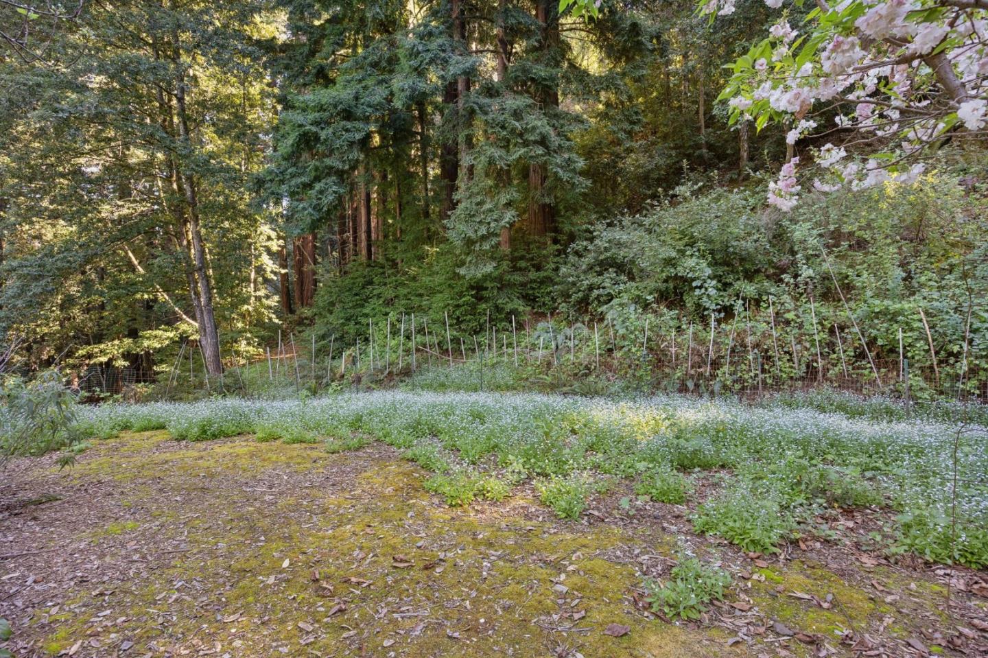 Detail Gallery Image 25 of 33 For 188 Martinez Rd, Woodside,  CA 94062 - 3 Beds | 2 Baths