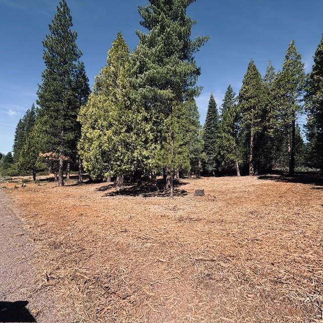 Detail Gallery Image 2 of 2 For 790 Red River Dr, Lake Almanor,  CA 96137 - – Beds | – Baths