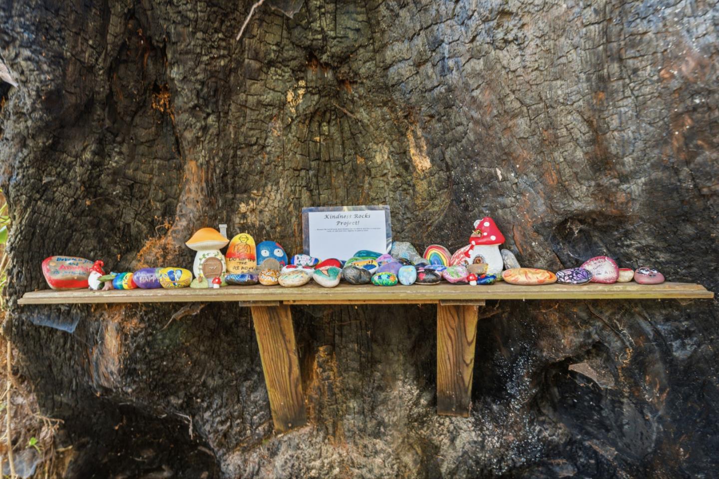 Detail Gallery Image 46 of 52 For 11931 Highway 9, Boulder Creek,  CA 95006 - 2 Beds | 1 Baths