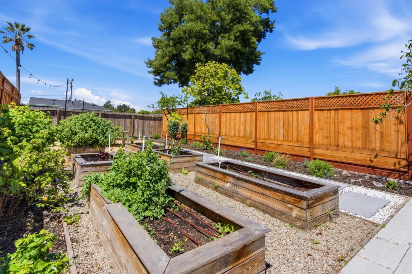 Detail Gallery Image 45 of 56 For 1257 Laurel Ave, East Palo Alto,  CA 94303 - 3 Beds | 1 Baths