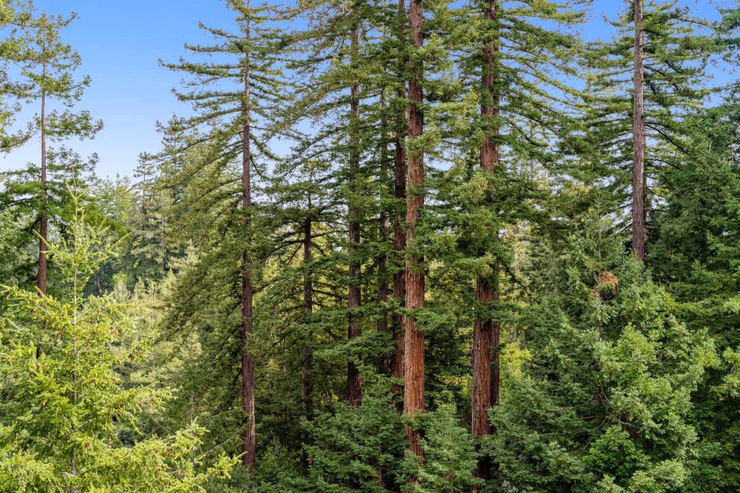 Detail Gallery Image 27 of 59 For 608 Lassen Park Ct, Scotts Valley,  CA 95066 - 6 Beds | 4/1 Baths