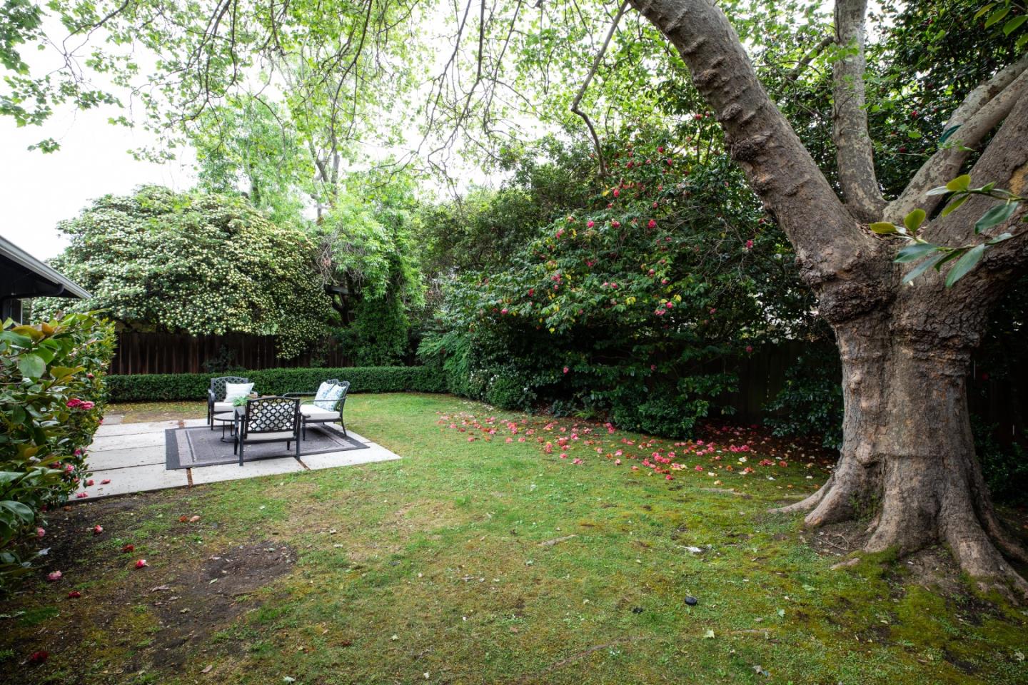 Detail Gallery Image 21 of 22 For 559 Hilbar Ln, Palo Alto,  CA 94303 - 3 Beds | 2 Baths