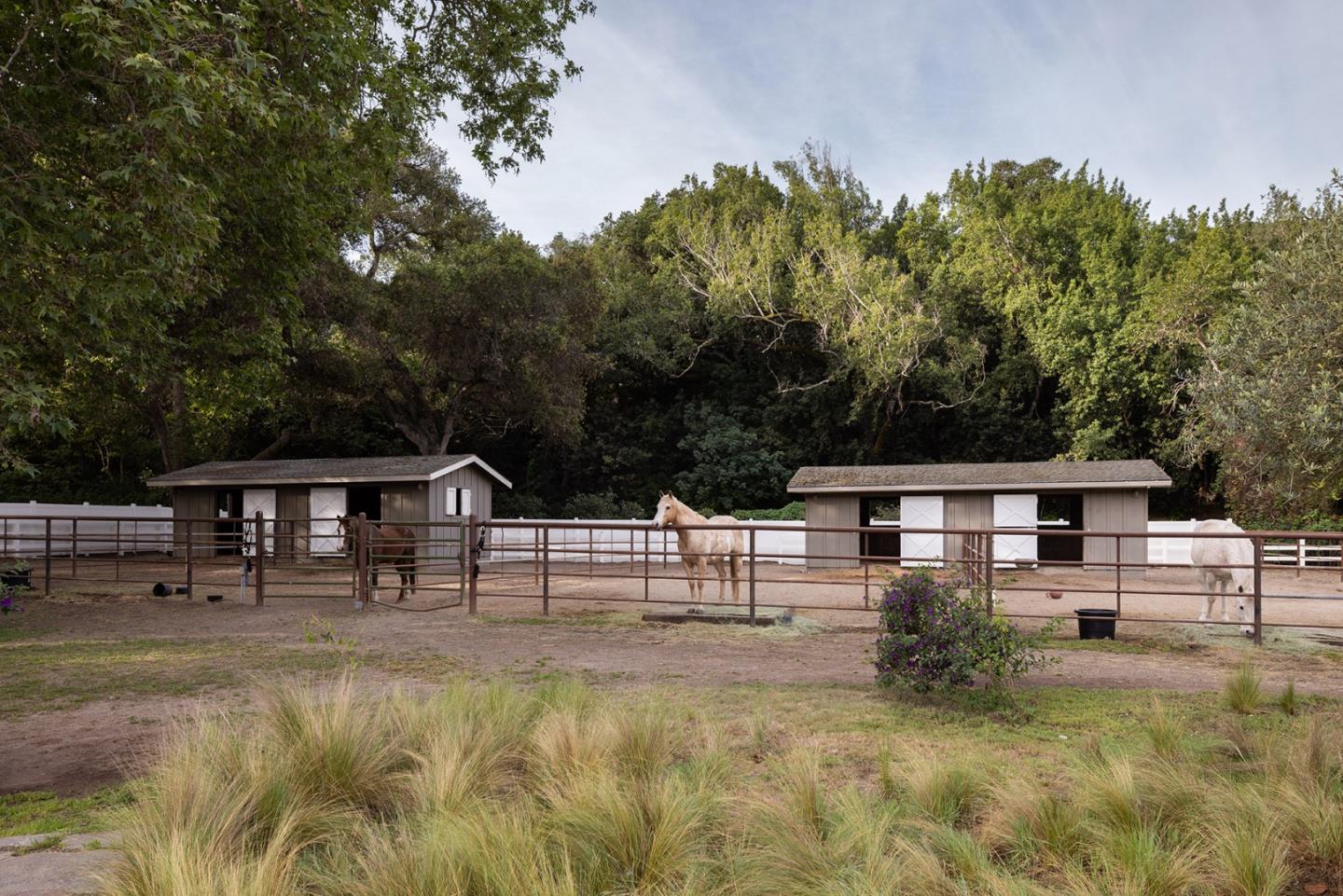 Detail Gallery Image 30 of 40 For 56 West Garzas Rd, Carmel Valley,  CA 93924 - 4 Beds | 3/1 Baths