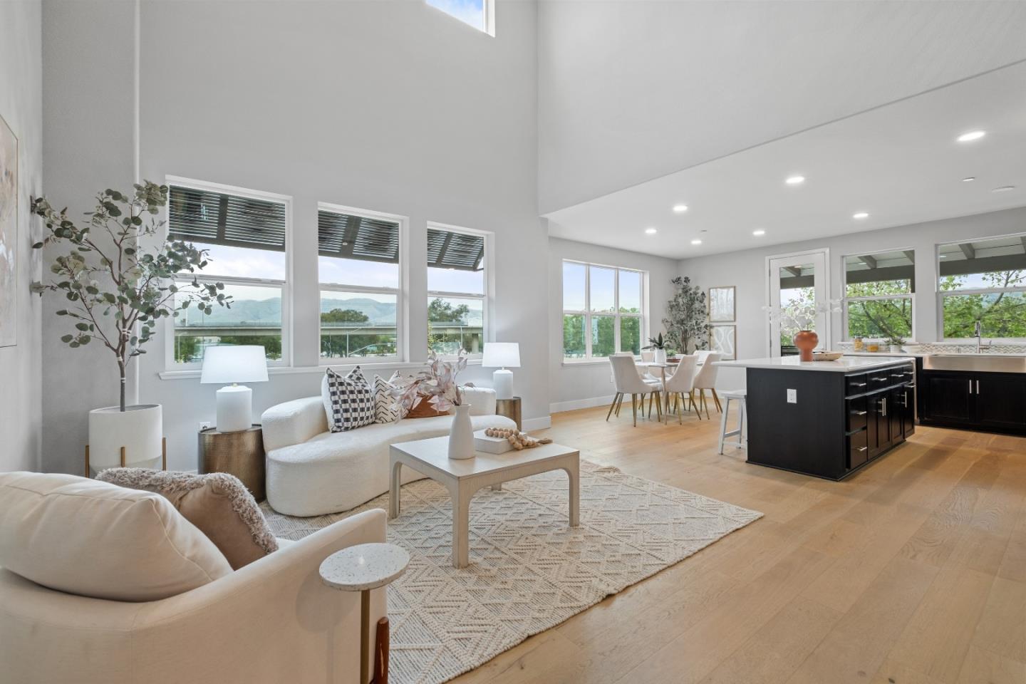 1030 Luz Del Sol Loop, Milpitas, CA, 95035