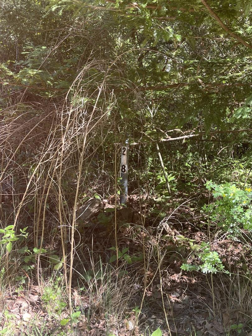 Front Image Thumbnail for ML82041164