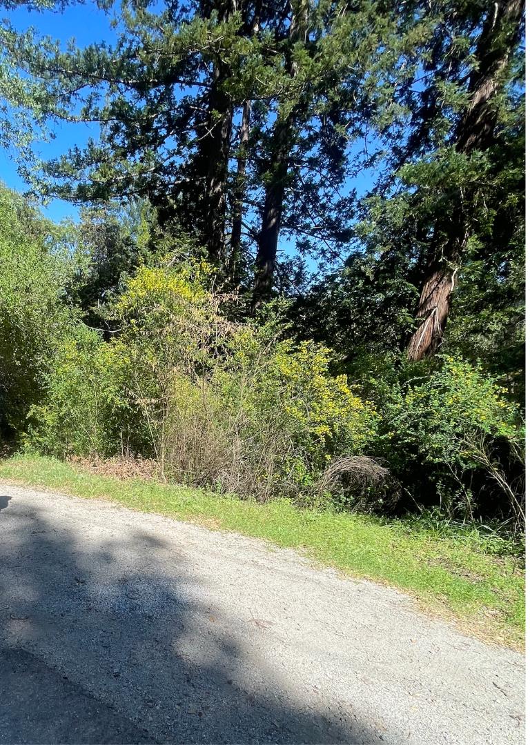 Detail Gallery Image 2 of 2 For Cresci, Los Gatos,  CA 95033 - – Beds | – Baths