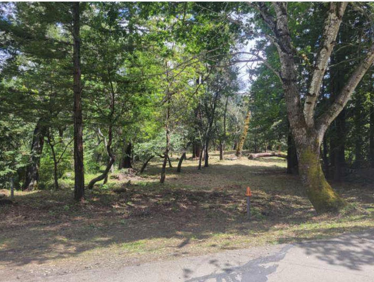 Cresci, LosGatos_1, CA 95033, Photo 3