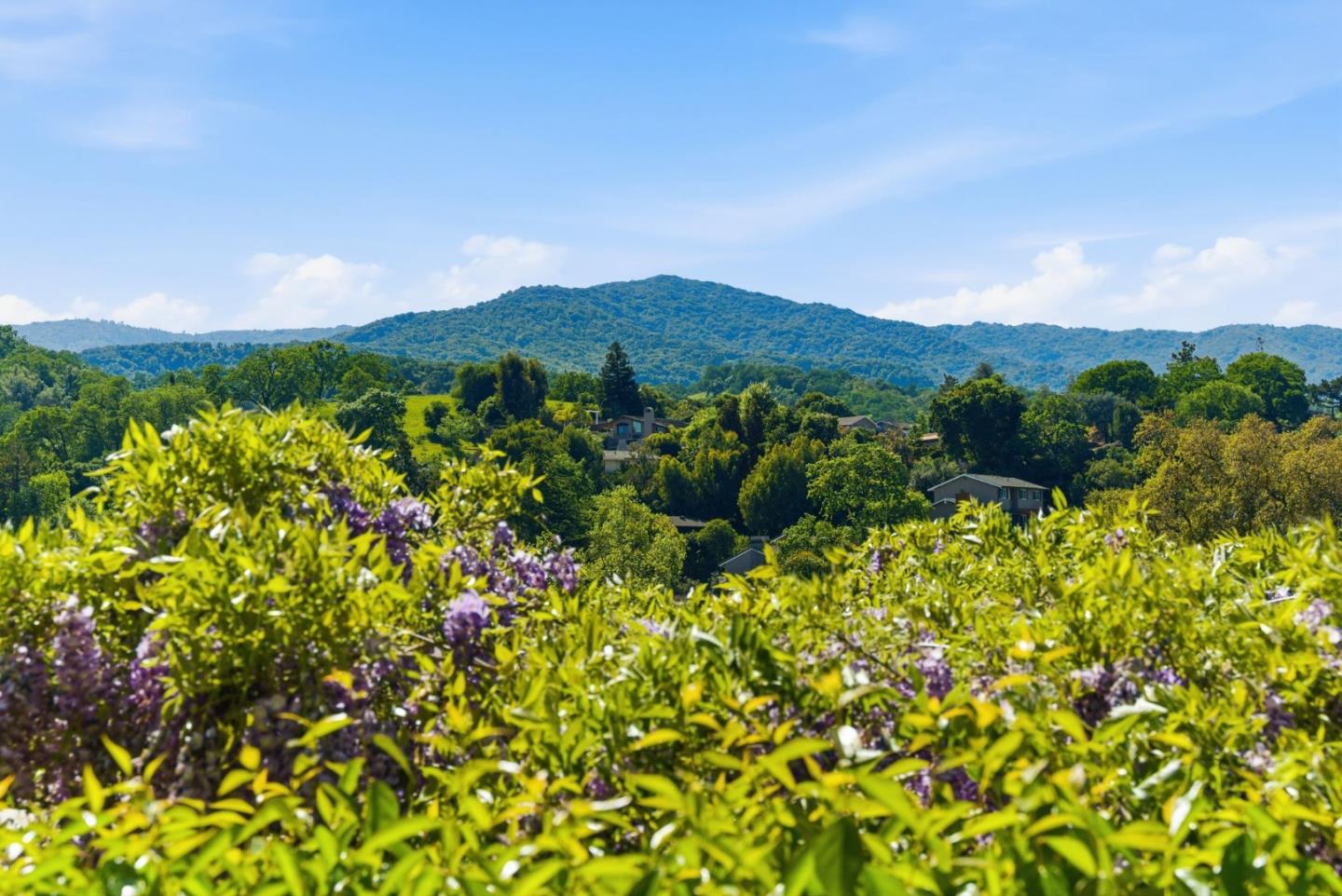 Detail Gallery Image 24 of 56 For 6915 Castlerock Dr, San Jose,  CA 95120 - 4 Beds | 2/1 Baths