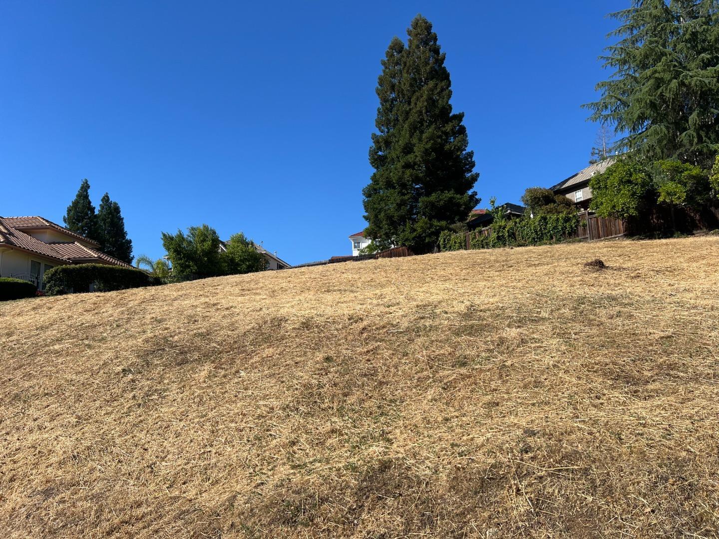 Detail Gallery Image 10 of 20 For 102 Black Gold Ln, Folsom,  CA 95630 - – Beds | – Baths