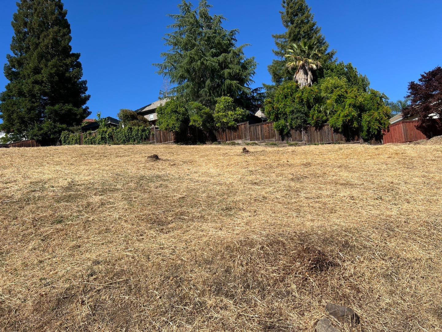 Detail Gallery Image 11 of 20 For 102 Black Gold Ln, Folsom,  CA 95630 - – Beds | – Baths