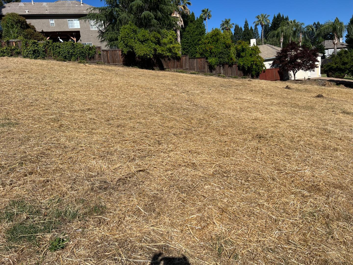 Detail Gallery Image 13 of 20 For 102 Black Gold Ln, Folsom,  CA 95630 - – Beds | – Baths