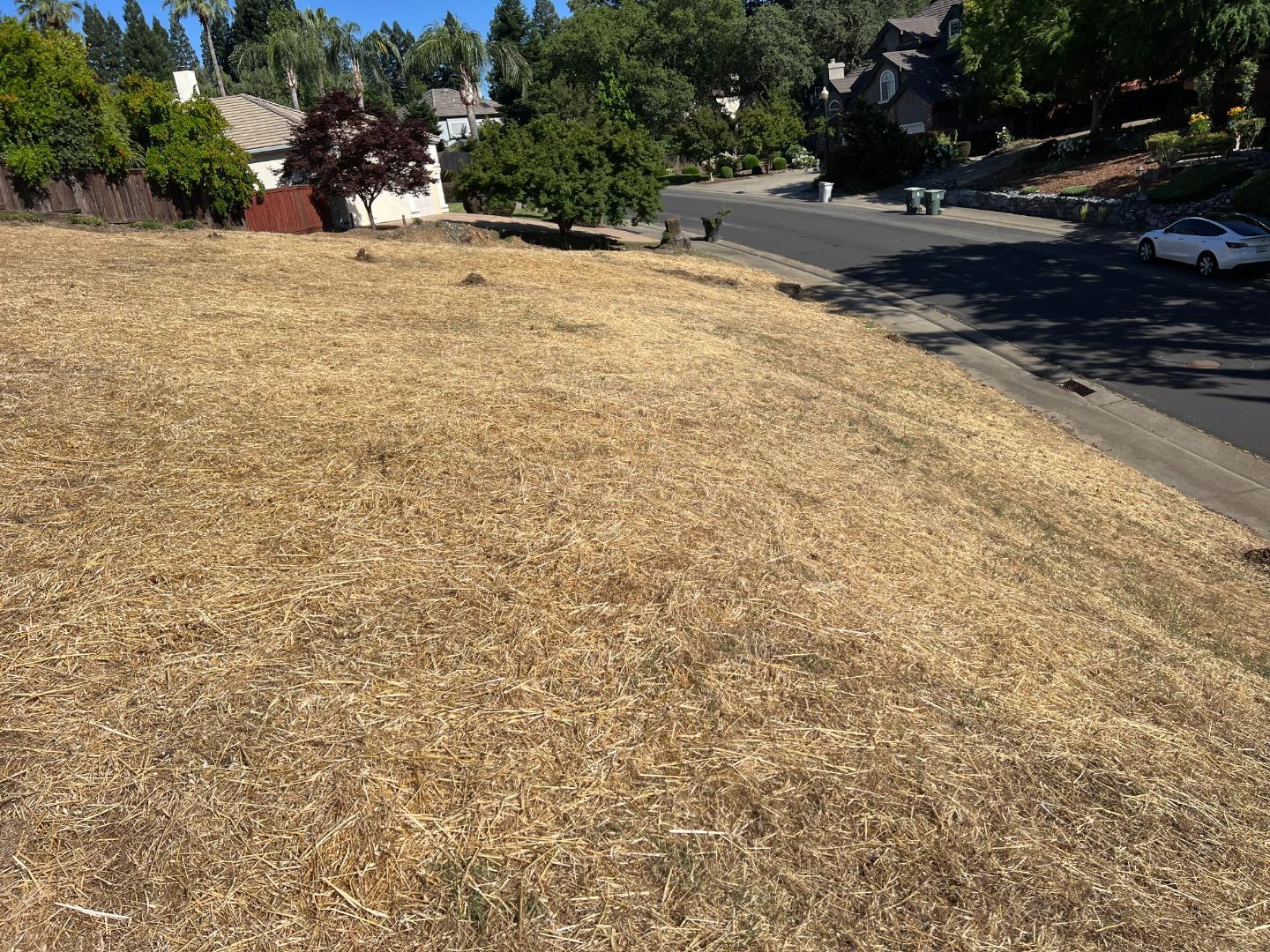 Detail Gallery Image 14 of 20 For 102 Black Gold Ln, Folsom,  CA 95630 - – Beds | – Baths