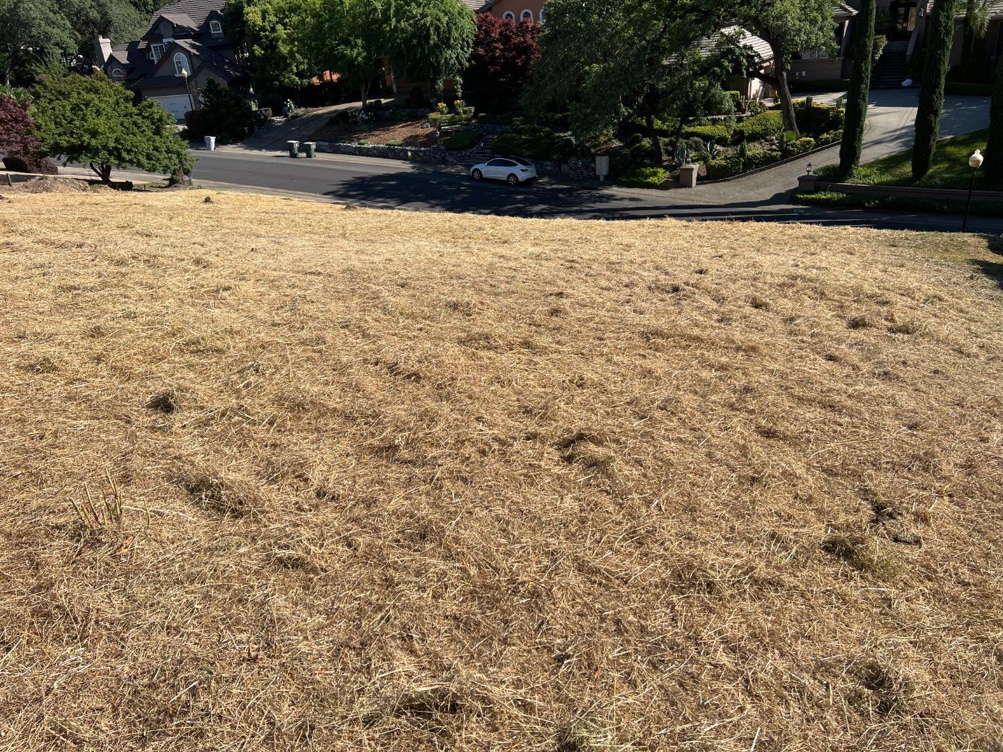 Detail Gallery Image 17 of 20 For 102 Black Gold Ln, Folsom,  CA 95630 - – Beds | – Baths