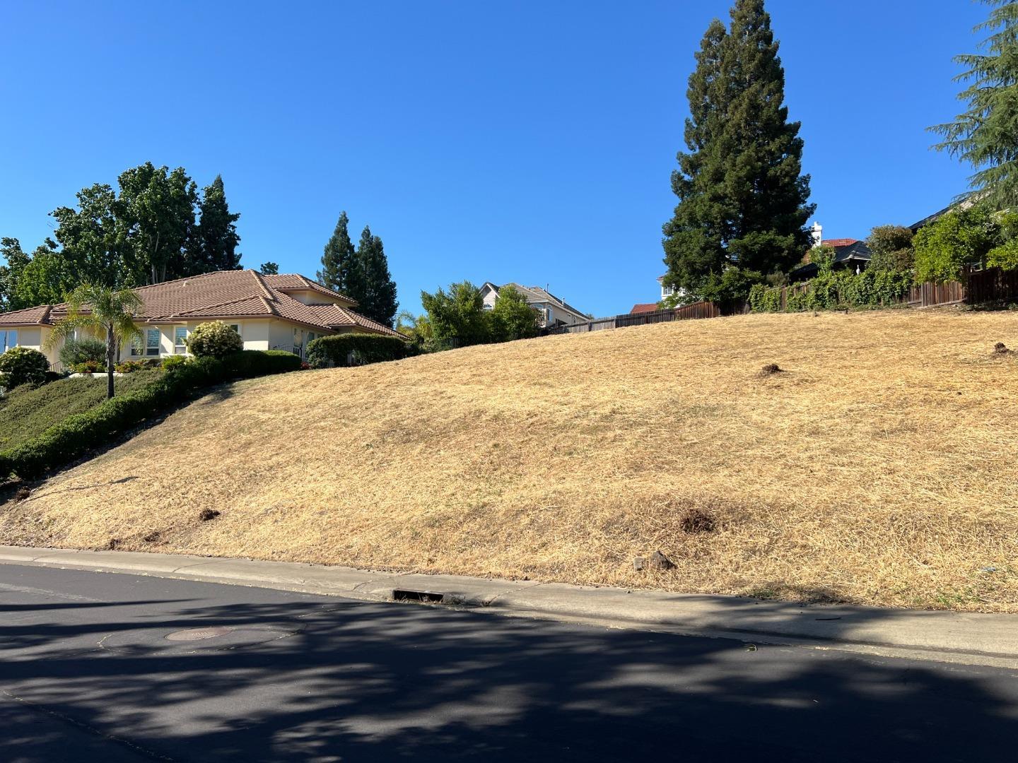 Detail Gallery Image 7 of 20 For 102 Black Gold Ln, Folsom,  CA 95630 - – Beds | – Baths