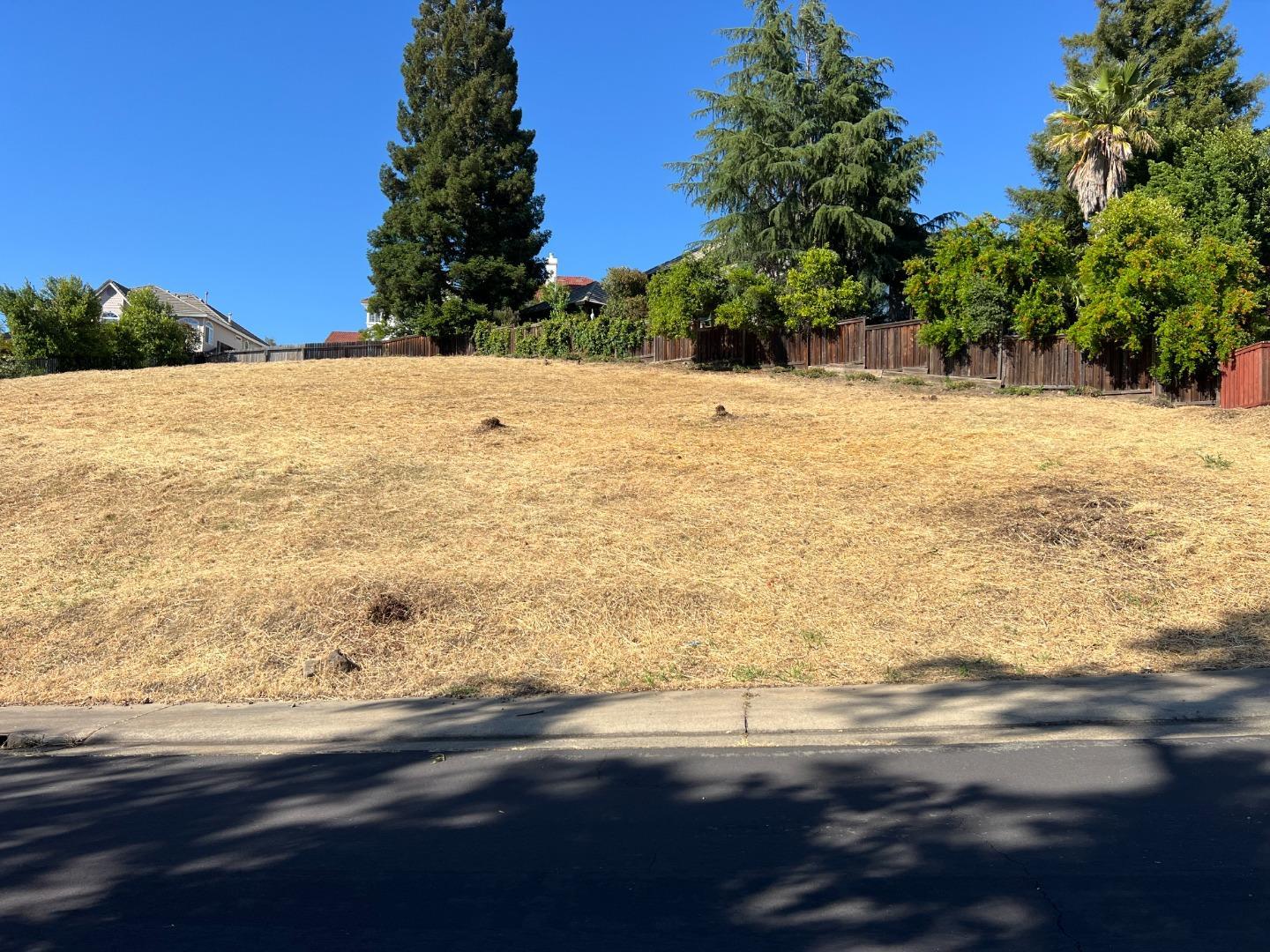 Detail Gallery Image 8 of 20 For 102 Black Gold Ln, Folsom,  CA 95630 - – Beds | – Baths