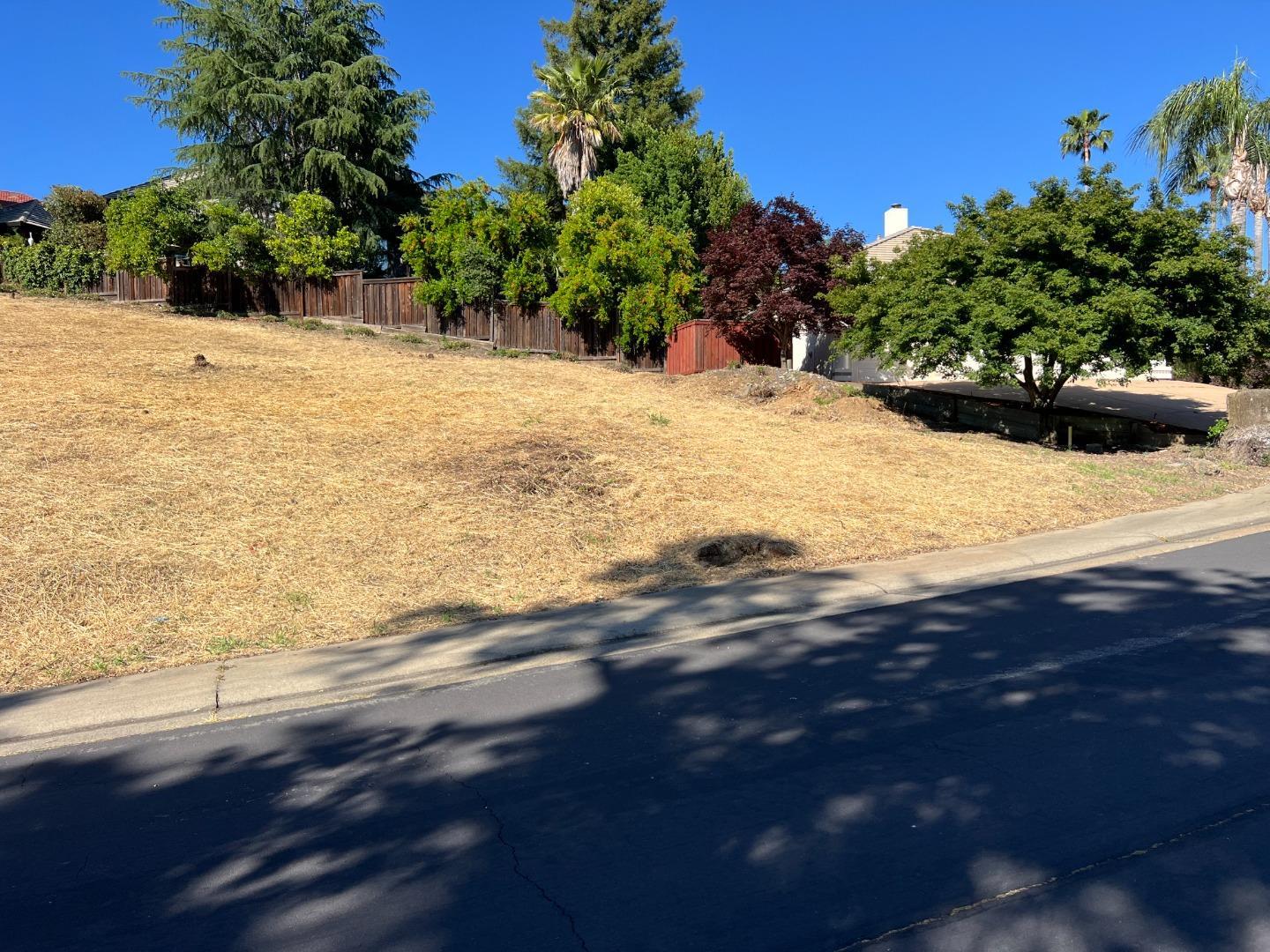 Detail Gallery Image 9 of 20 For 102 Black Gold Ln, Folsom,  CA 95630 - – Beds | – Baths