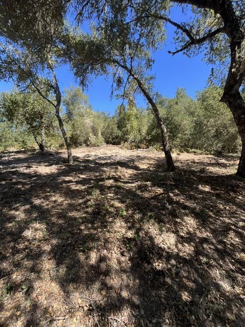 225 Santa Cruz ST, BoulderCreek, CA 95006, Photo 7