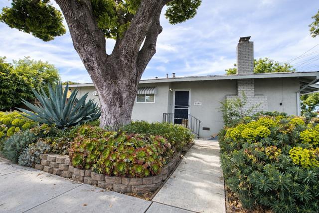 1090 White Drive, Santa Clara, CA, 95051