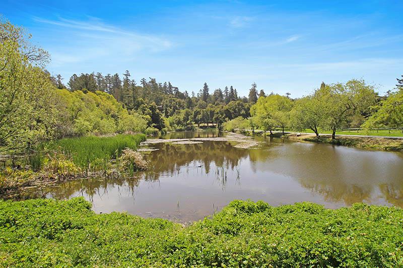 Detail Gallery Image 40 of 41 For 75 Redwood Dr, La Honda,  CA 94020 - 4 Beds | 3 Baths