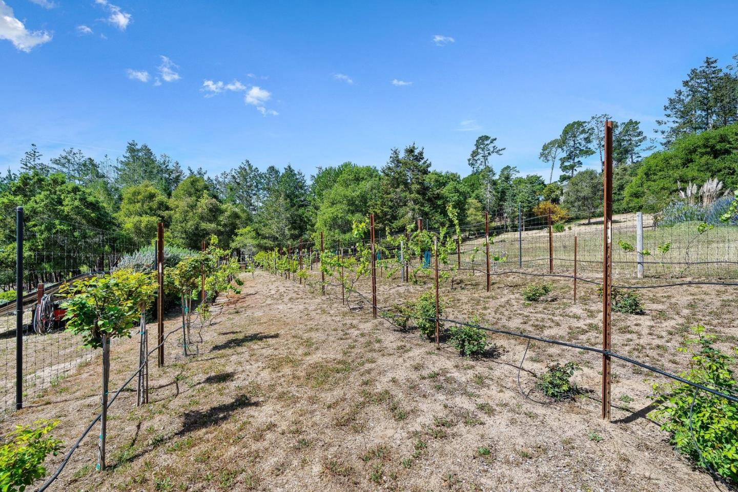Detail Gallery Image 57 of 72 For 321 Pine Forest Dr, Aptos,  CA 95003 - 4 Beds | 2/1 Baths