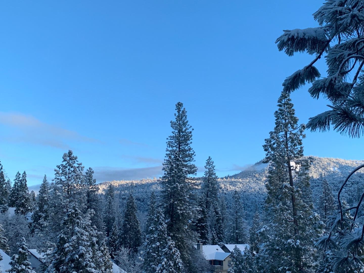 Detail Gallery Image 37 of 39 For 40586 Saddleback Rd, Bass Lake,  CA 93604 - 5 Beds | 3/1 Baths