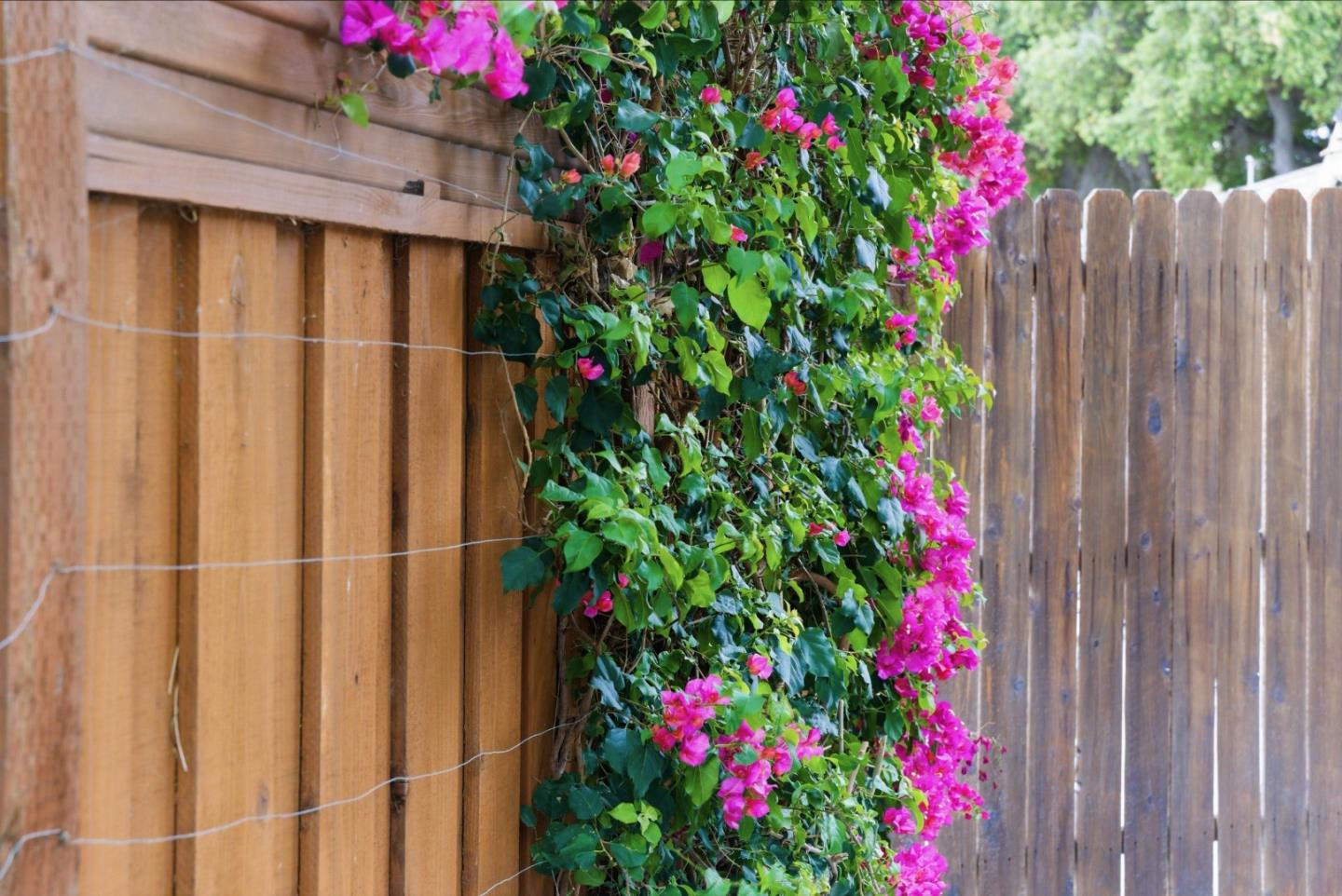 Detail Gallery Image 42 of 98 For 1486 Burrell Ct, San Jose,  CA 95126 - 4 Beds | 2 Baths