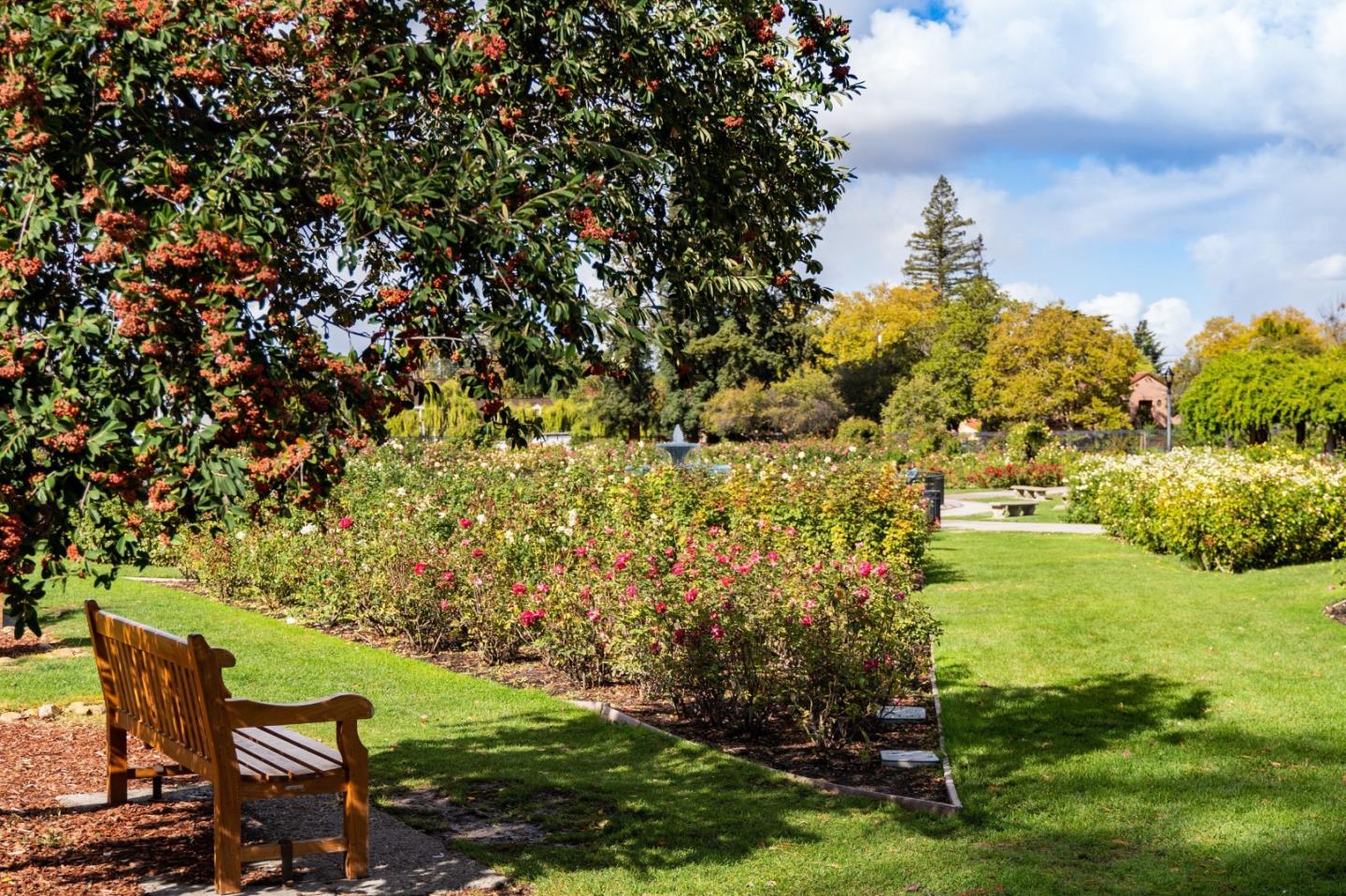 Detail Gallery Image 81 of 98 For 1486 Burrell Ct, San Jose,  CA 95126 - 4 Beds | 2 Baths