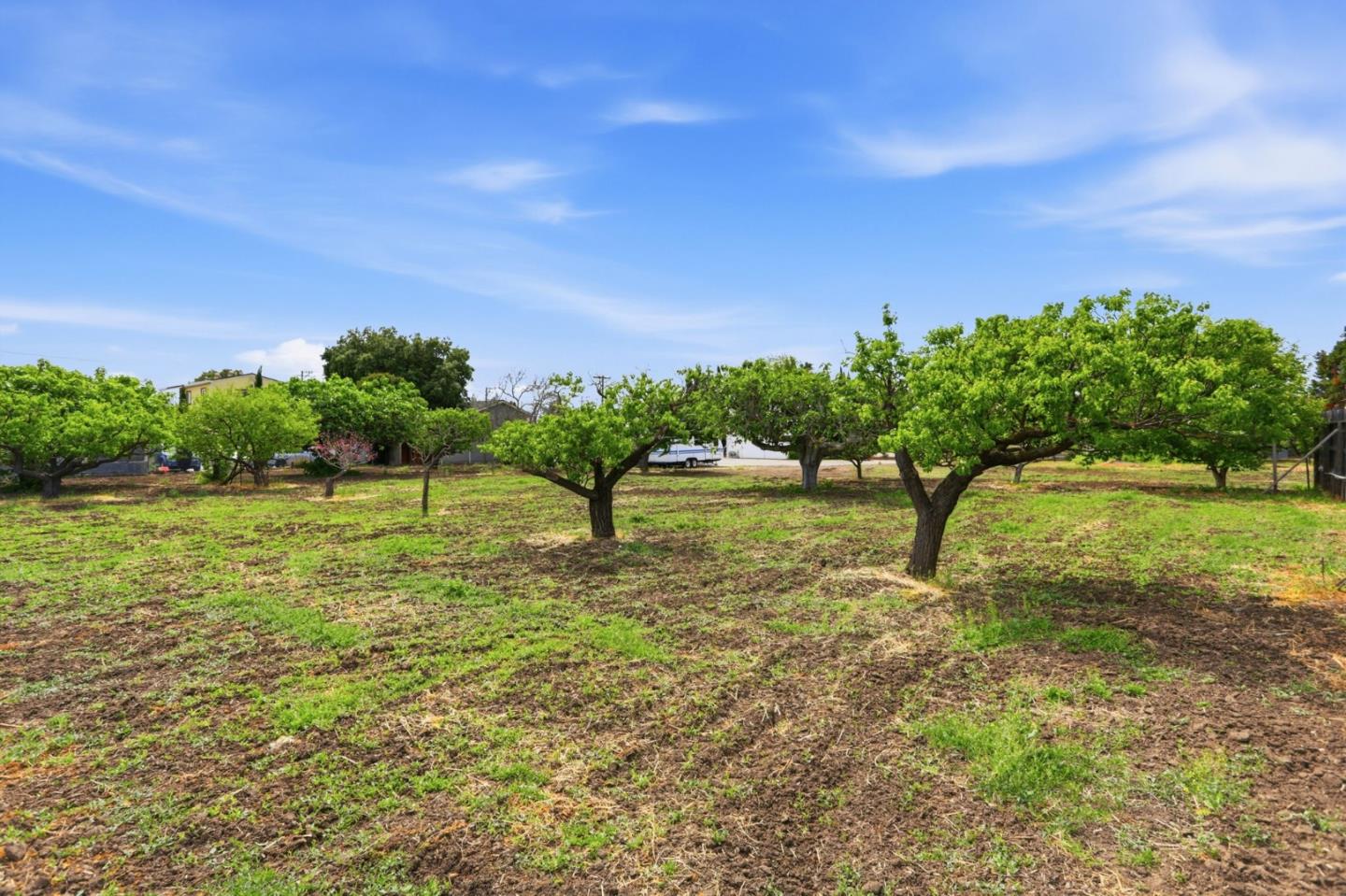 Detail Gallery Image 48 of 64 For 323 Gridley St, San Jose,  CA 95127 - – Beds | – Baths