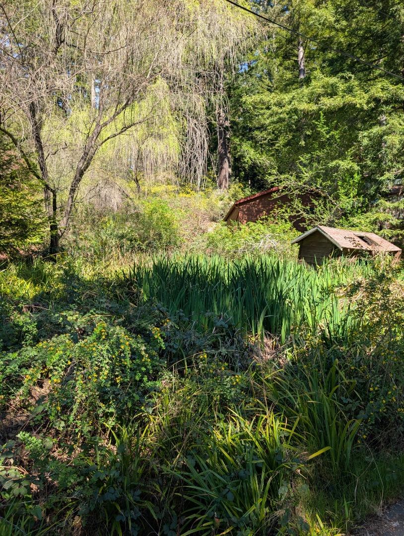 Detail Gallery Image 3 of 5 For 227 Old Ranch Rd, Redwood City,  CA 94062 - – Beds | – Baths