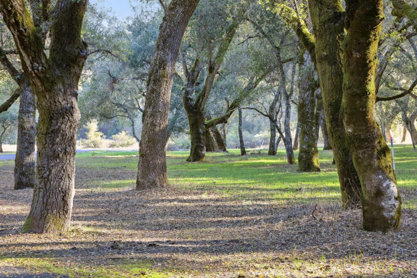 Front Image Thumbnail for ML82041412