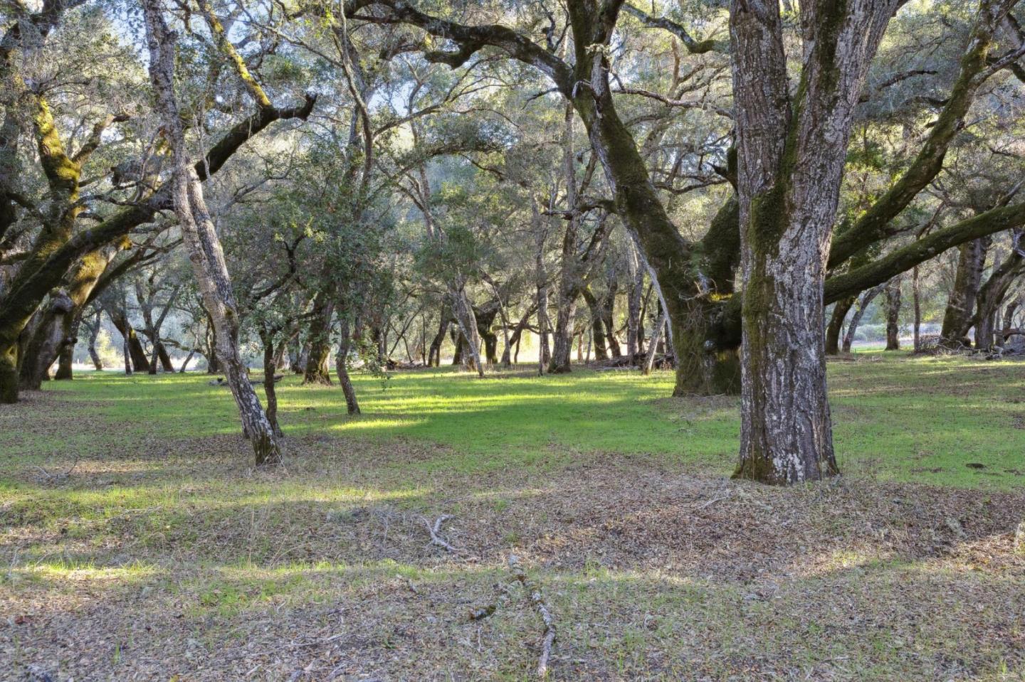 Detail Gallery Image 2 of 7 For 11 Arroyo Sequoia, Carmel Valley,  CA 93923 - – Beds | – Baths