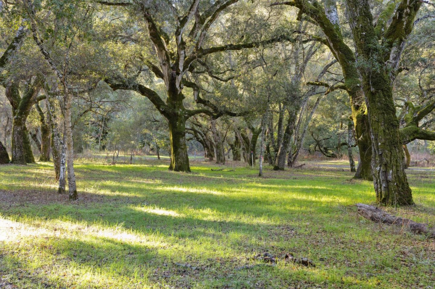 Detail Gallery Image 4 of 7 For 11 Arroyo Sequoia, Carmel Valley,  CA 93923 - – Beds | – Baths