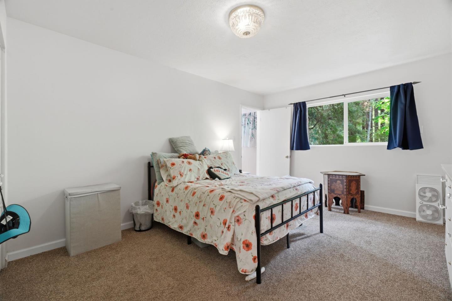 160 Nellie Lane, Boulder Creek, CA, 95006