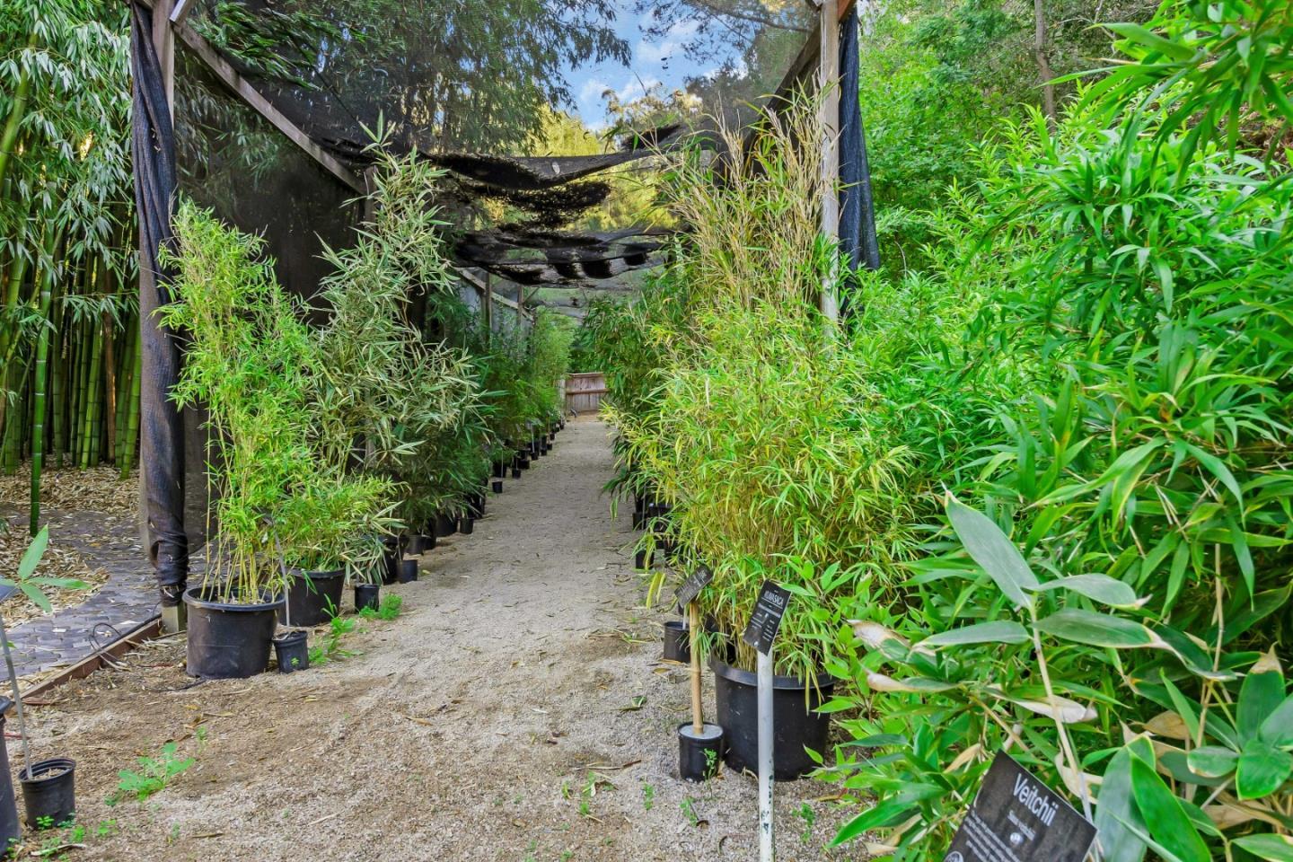 Detail Gallery Image 42 of 52 For 5601 Freedom Blvd, Aptos,  CA 95003 - – Beds | – Baths